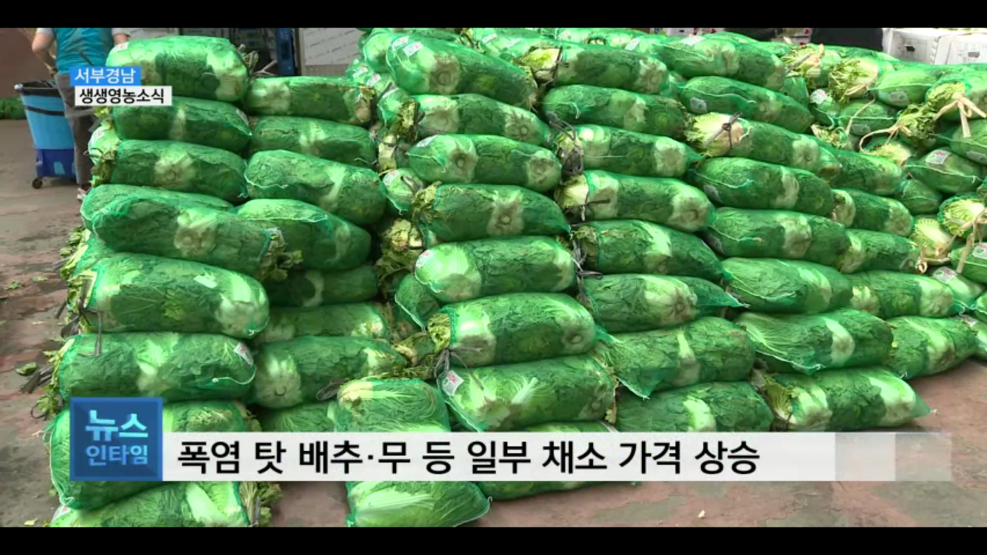 (섹션R) 생생영농소식 - 농산물 가격 변동, 꼼꼼히 확인해야 사진