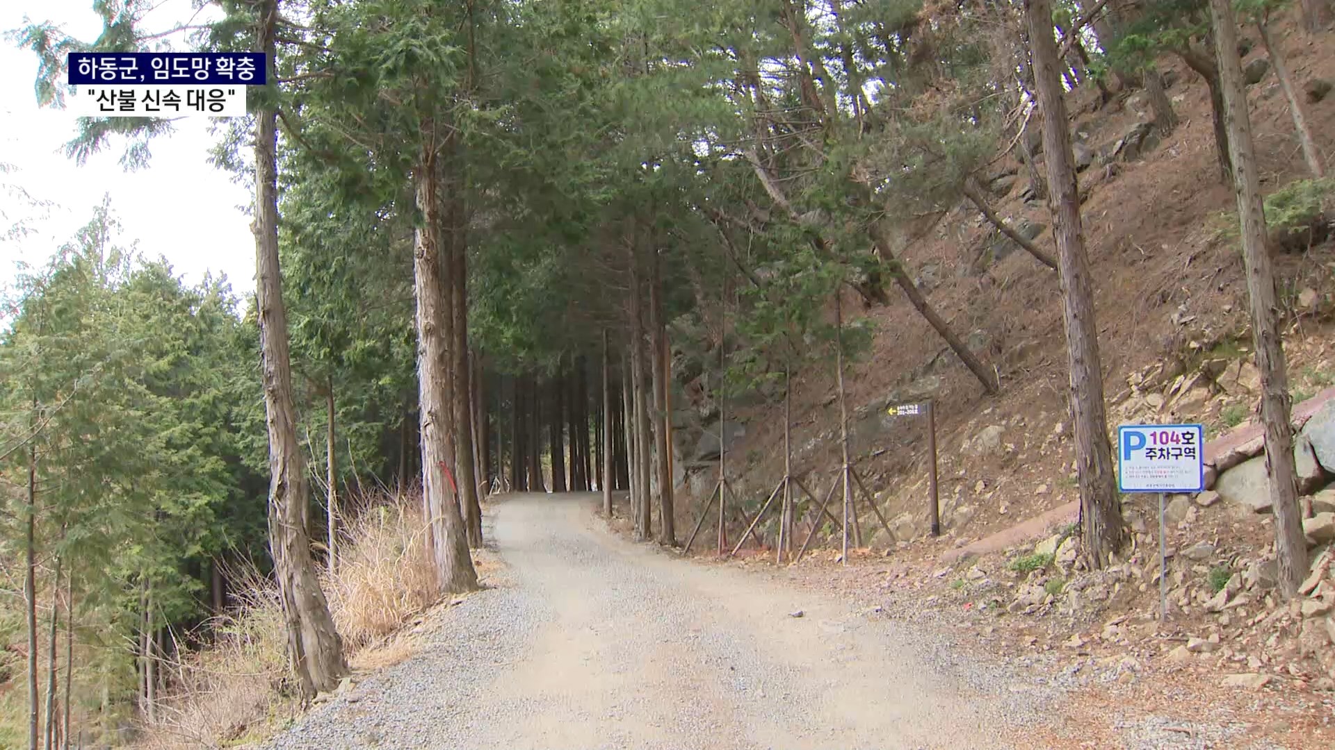 (R) 촘촘한 임도망 구축..하동군 산불 신속 대응 사진