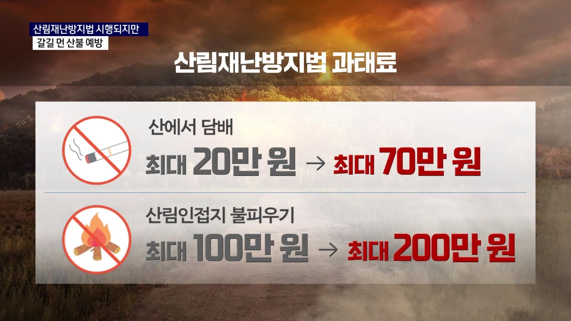 (R) 산림재난방지법 시행되지만..해결과제 산적 사진