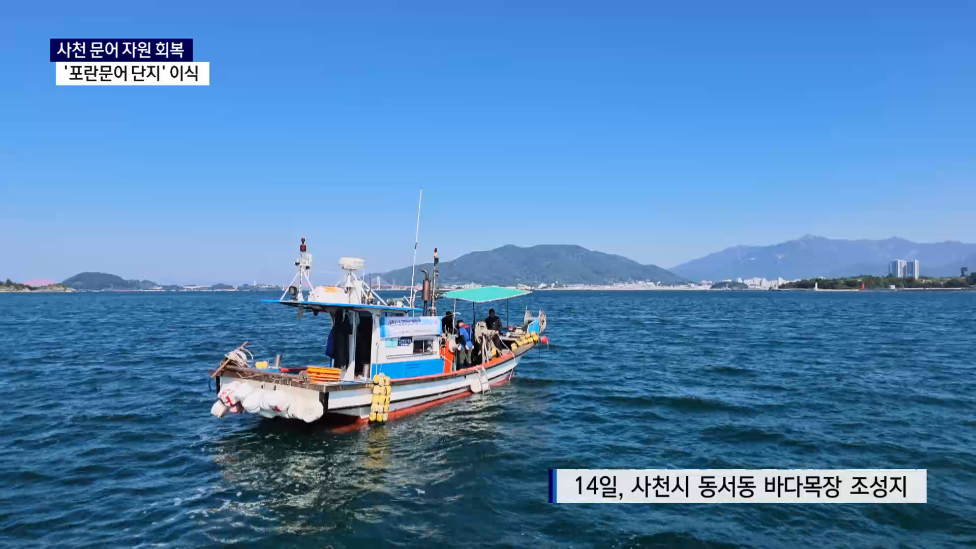 (R) [바다 이야기] 사천 문어 자원 회복..'포란문어 단지' 이식 사진