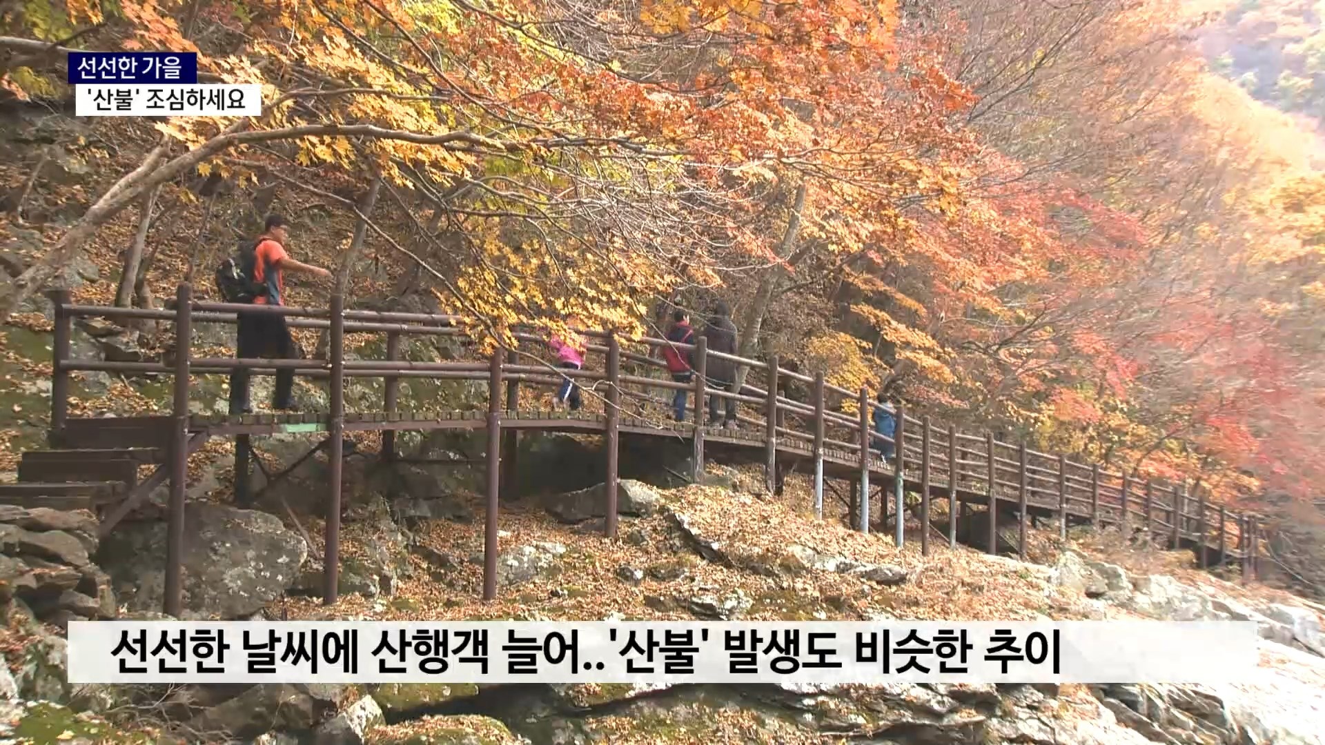 (R) 선선한 가을..산행 갈 땐 '산불' 조심하세요 사진