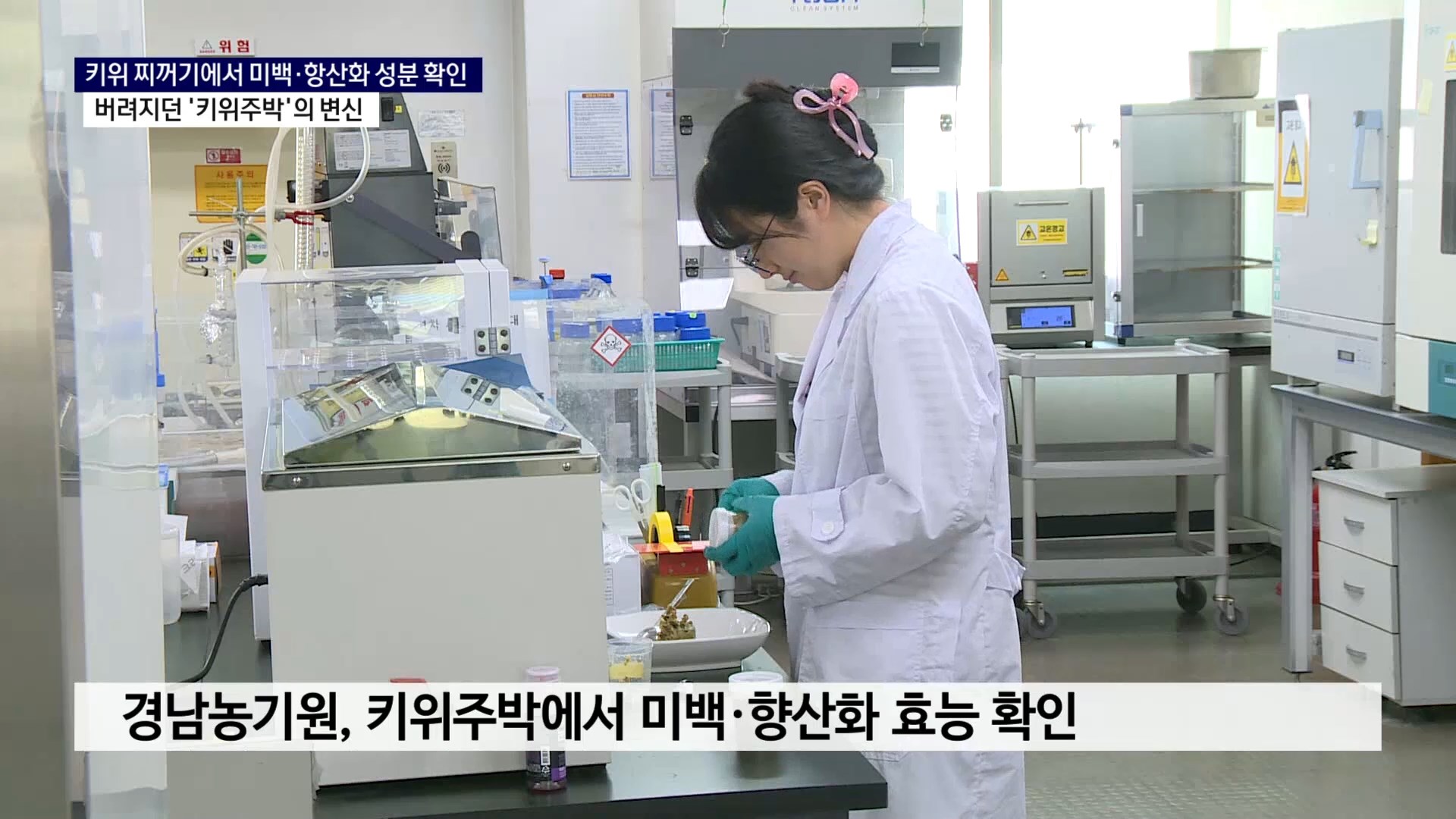 (R) 버려지던 ‘키위주박’, 미백 마스크팩으로 변신 사진