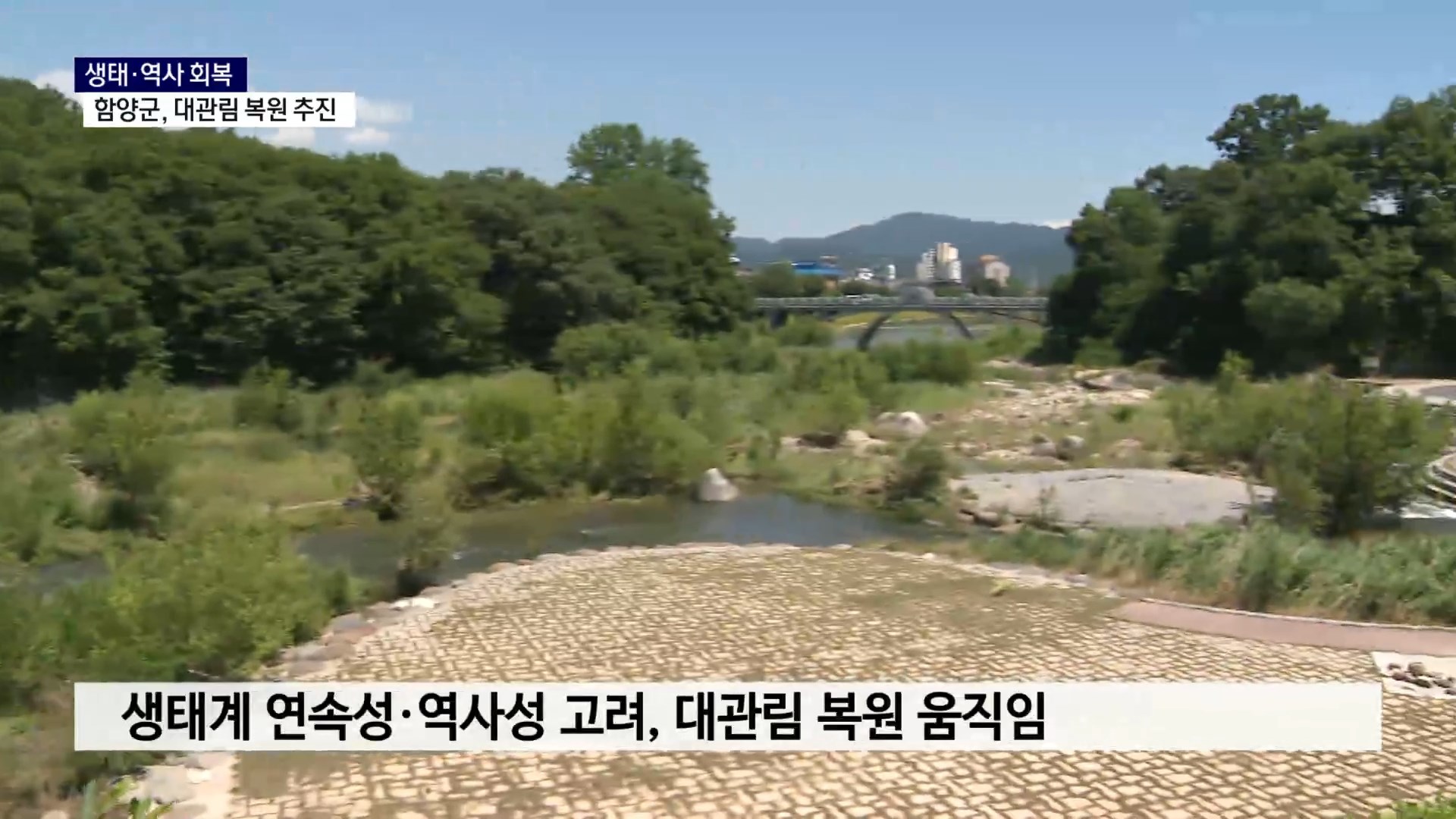(R) 상림~하림 잇는다..함양군, 대관림 복원 추진 사진
