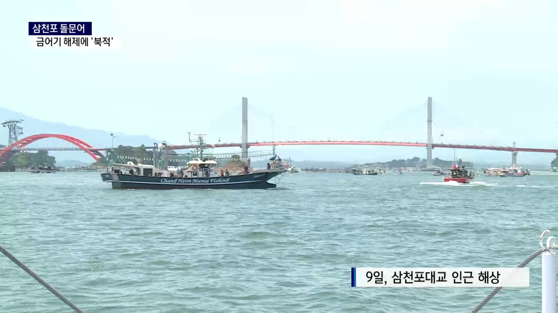 (R) 문어 금어기 해제..전국서 강태공 행렬 사진