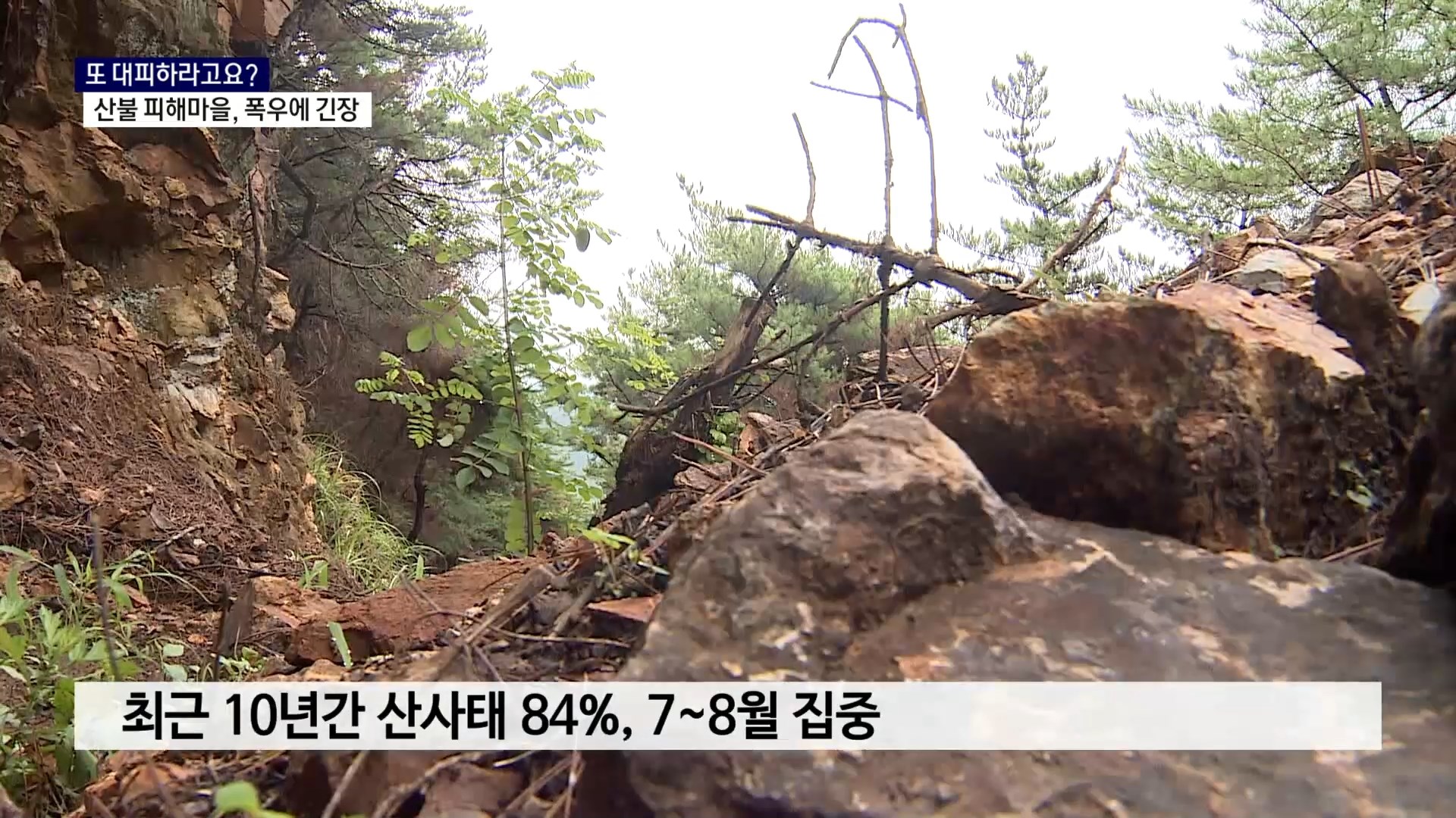 (R) 또 대피하라고요..산불 피해 마을, 폭우에 긴장 사진