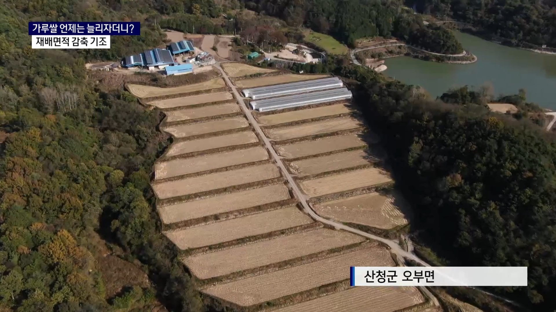 (R) 가루쌀 언제는 늘리자더니..재배면적 감축 기조 사진