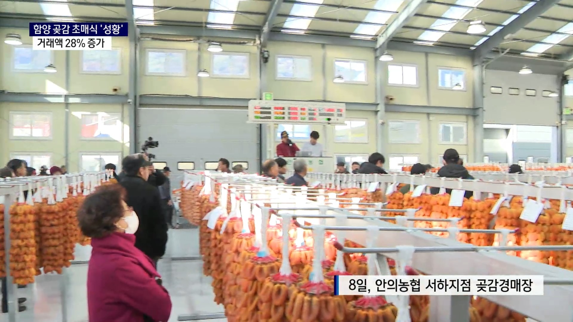 (R) 지리산 함양 곶감 초매식 성황..거래액 28% 증가  사진