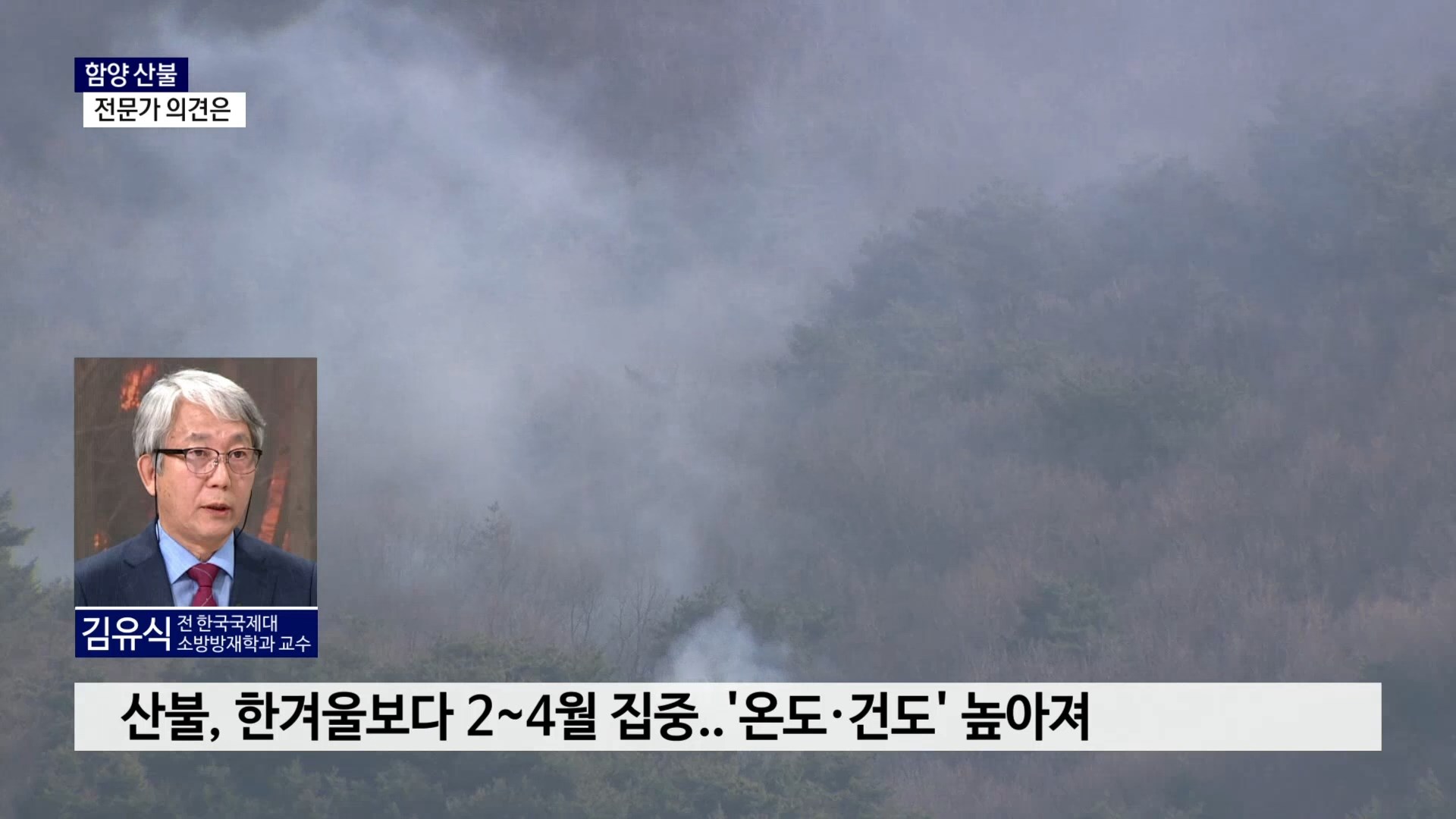 (R) 함양 산불 관련 전문가 인터뷰 사진