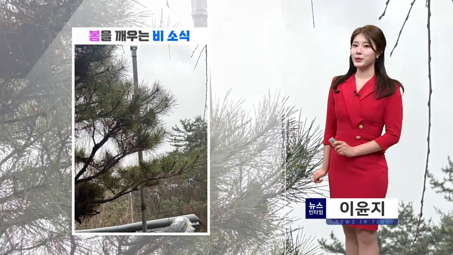 (인타임날씨) 3월 5일 목요일 - 사진으로 보는 날씨 사진