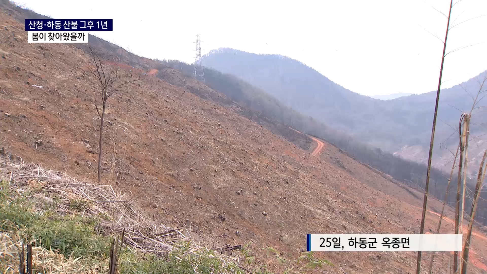 (R) 산청·하동 산불 그후 1년..봄이 찾아왔을까 사진