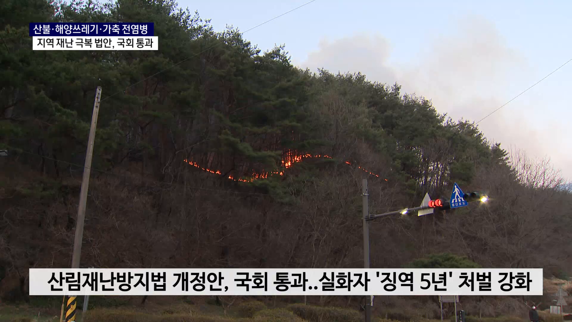 (R) 반복되는 지역 재난 해소되나..안전·민생 법안 국회 통과 사진
