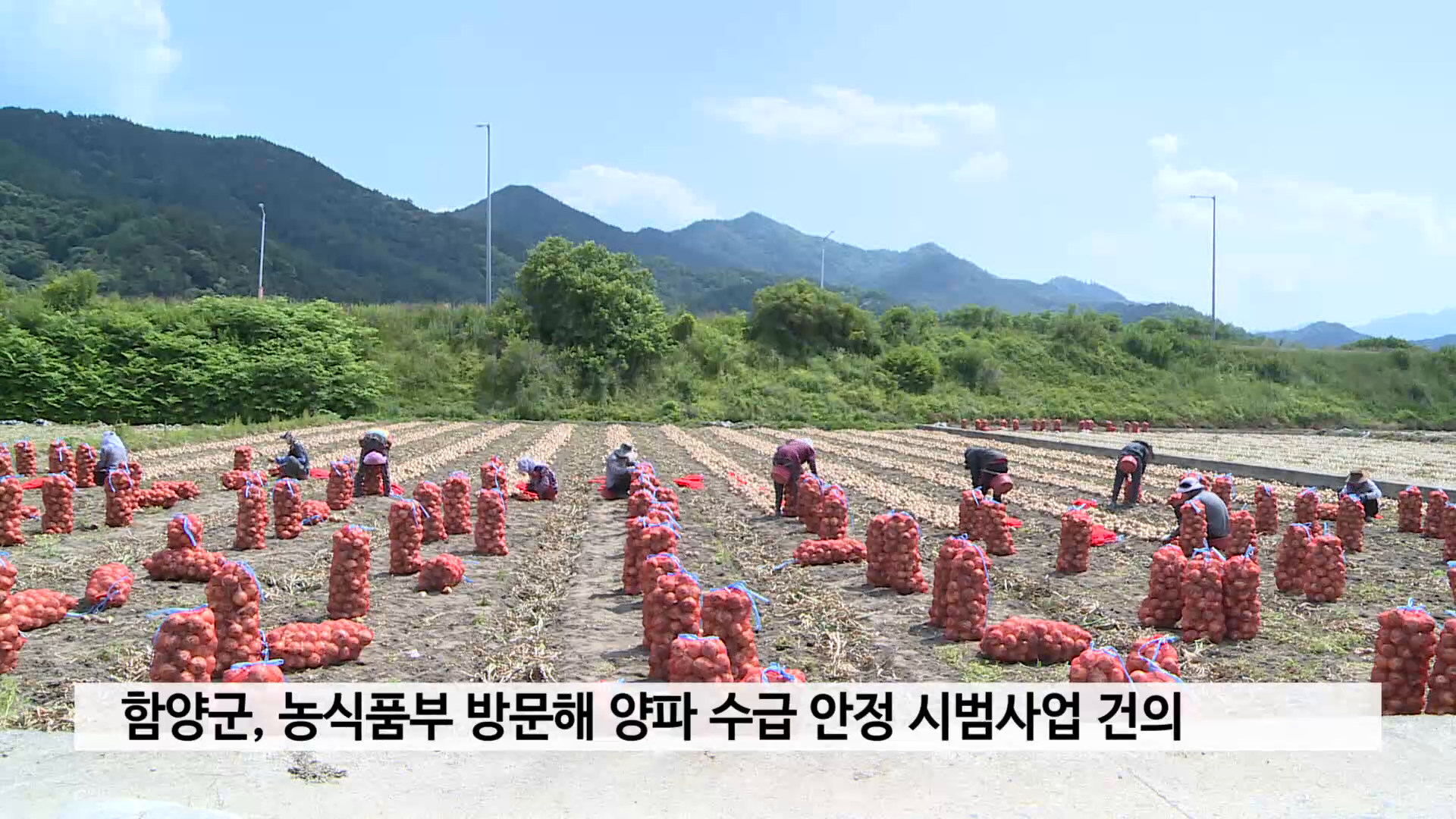 함양군, 농식품부 방문해 양파 수급 안정 시범사업 건의 사진