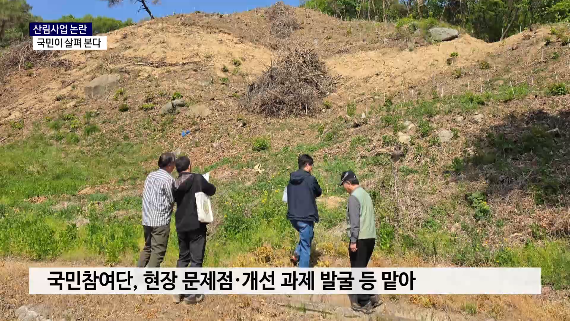 (R) 산림사업 논란..국민이 살펴 본다 사진