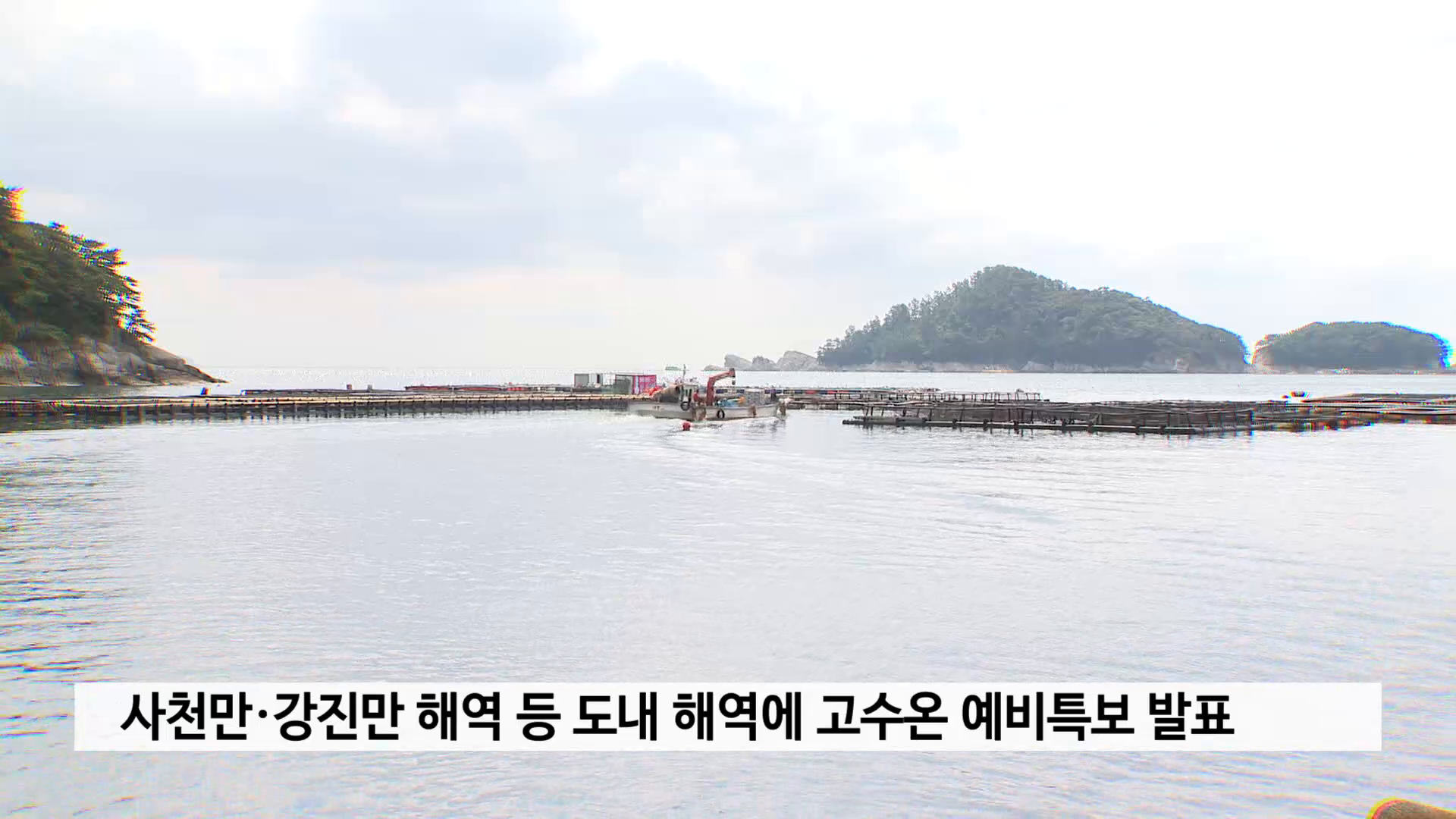 사천만·강진만 해역 등 도내 해역에 고수온 예비특보 발표 사진