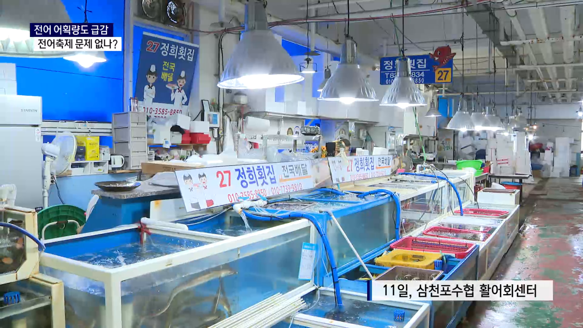 (R-2) 고수온 여파에 전어 어획량 급감..