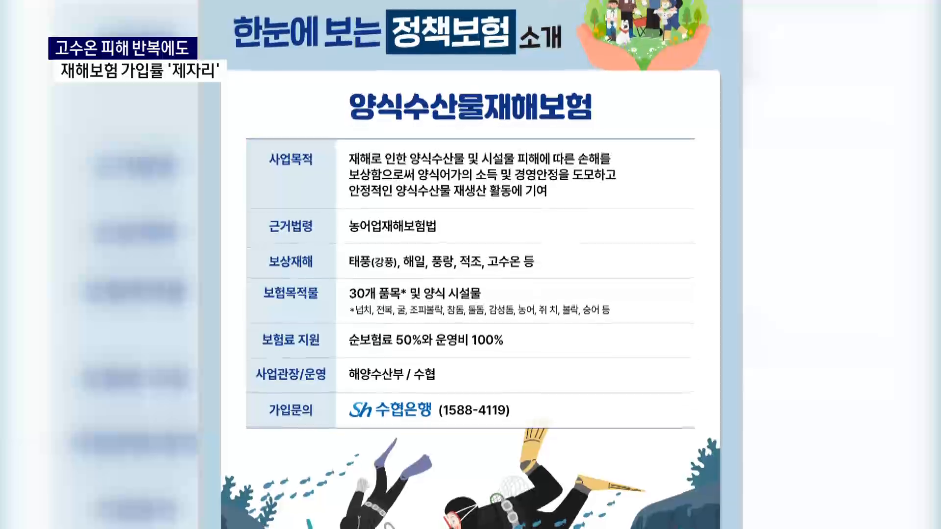 (R) 고수온 피해 반복에도 재해보험 가입률 '제자리' 사진
