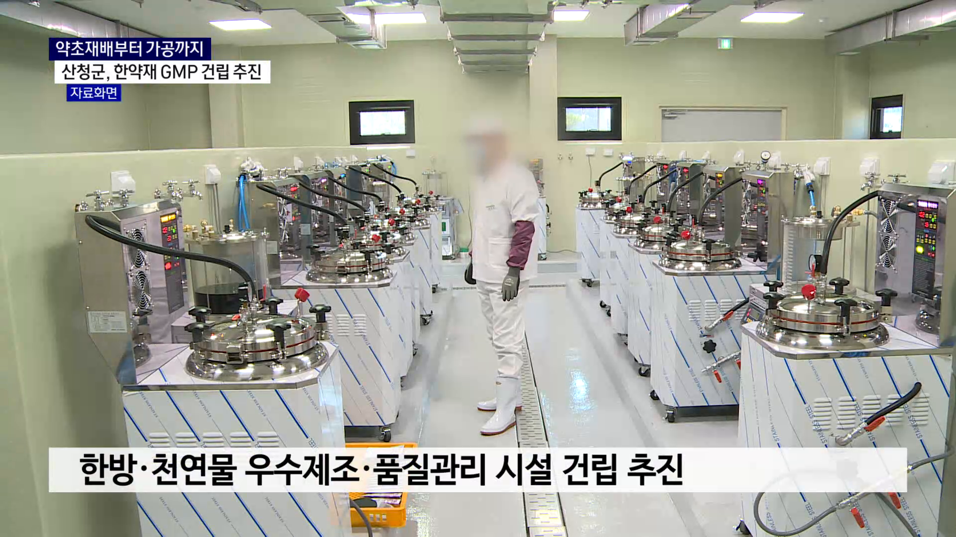 (R) 약초 재배부터 가공까지..산청군, '한약재 GMP' 승부수 사진
