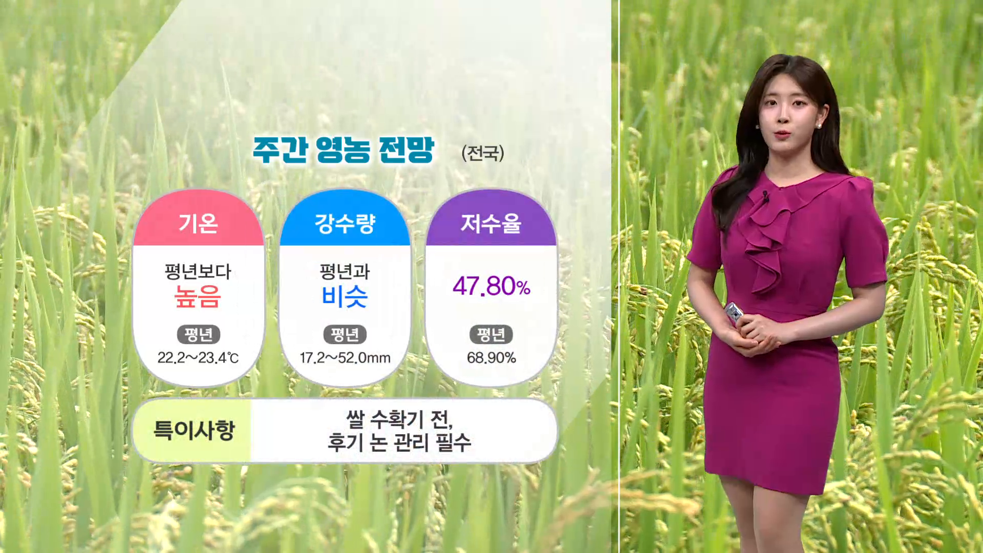 (인타임날씨) 9월 1일 화요일 사진