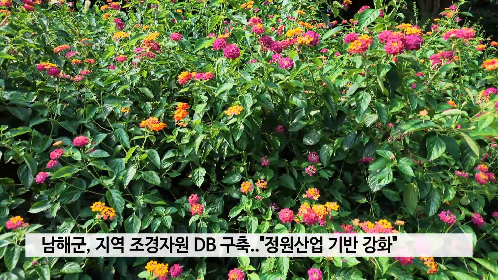 남해군, 지역 조경자원 DB 구축..