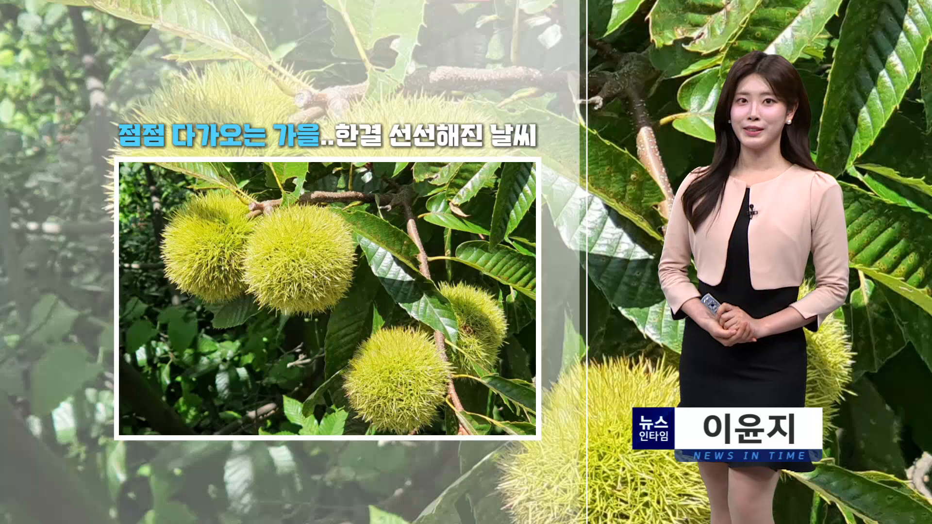 (인타임날씨) 9월 3일 목요일 사진